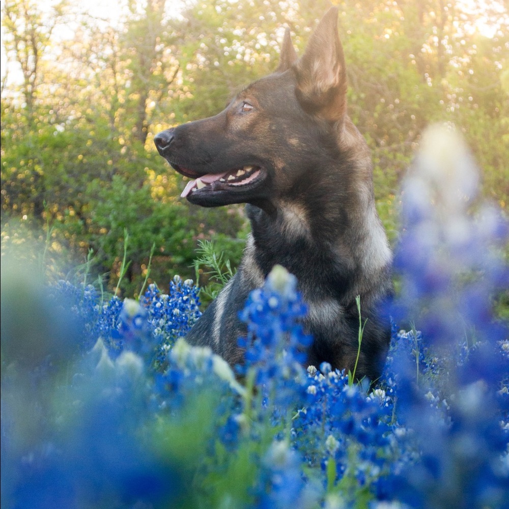 Shipping Information